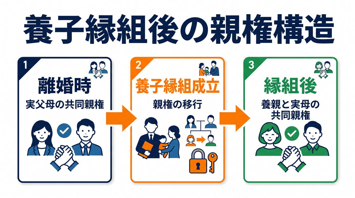 養子縁組後の親権構造 民法818条 養親 実親 共同親権 元配偶者の親権喪失