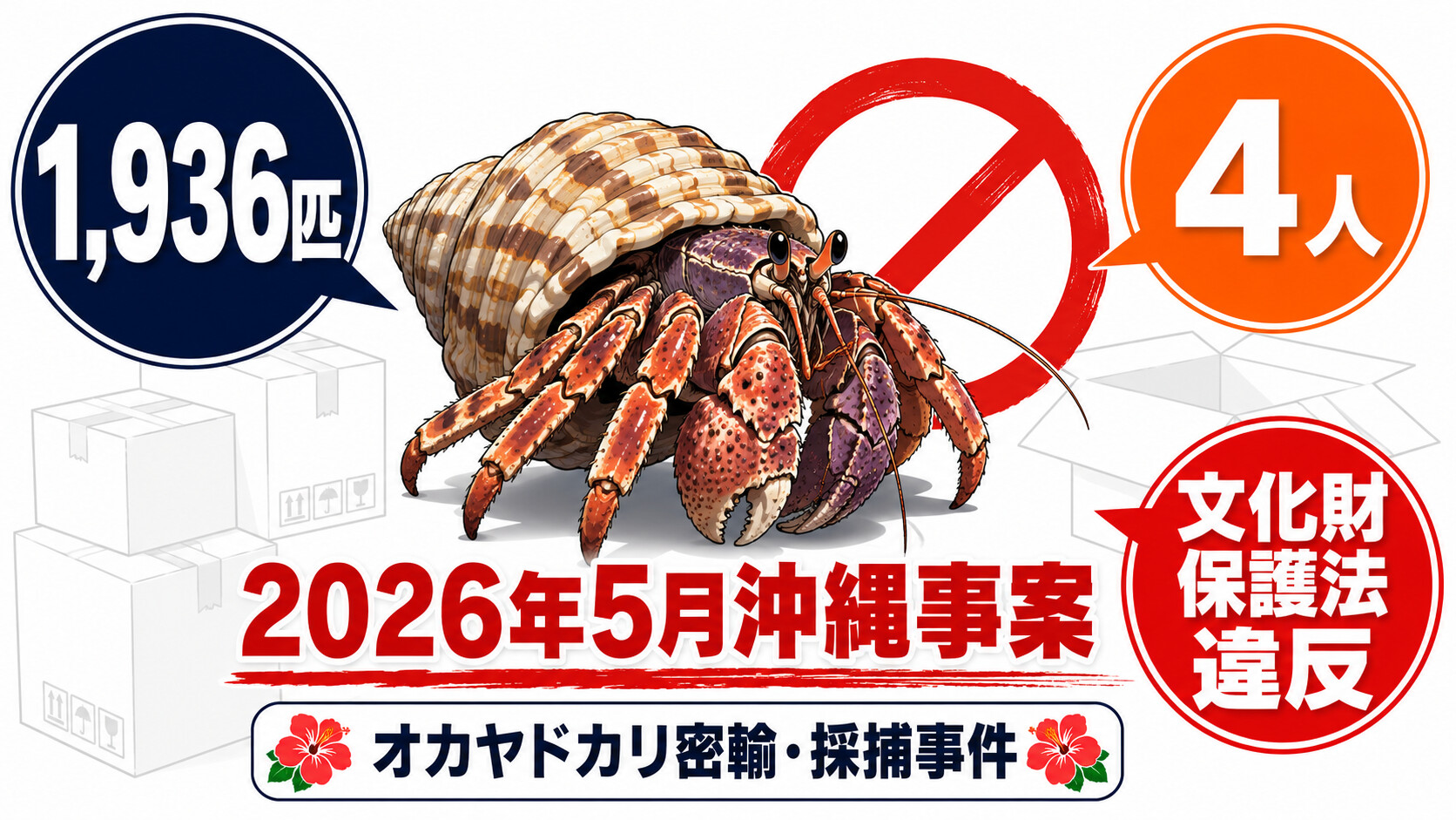 2026年5月 X 在日ベトナム人 密漁 岩ガキ 沖縄 オカヤドカリ 1936匹 文化財保護法 那覇